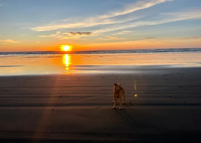 The Surf Shack